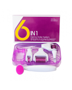 DERMA ROLLER SYSTEM 6 IN 1