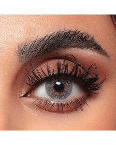 amara daily lenses shark gray