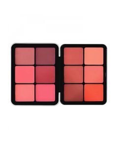 Make Oever 22 Palette Blush Powder 12 Colors BP01