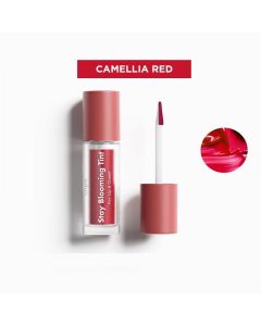 BUBI BUBI LIP & CHEEK TINT -1 CAMELLIA RED